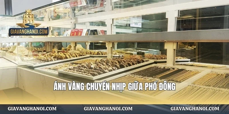 Ánh vàng chuyển nhịp giữa phố đông