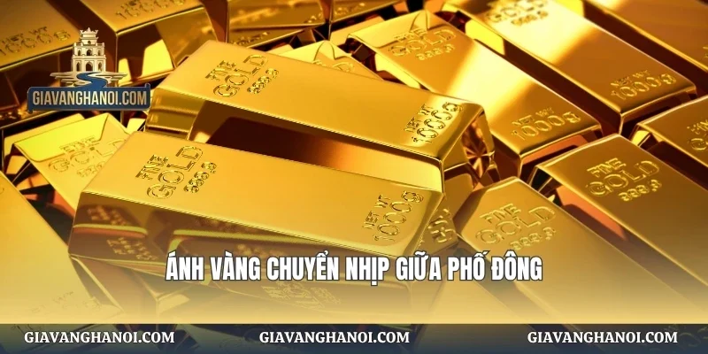 Ánh vàng chuyển nhịp giữa phố đông