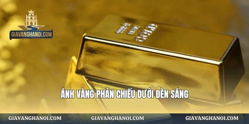 Ánh vàng phản chiếu dưới đèn sáng
