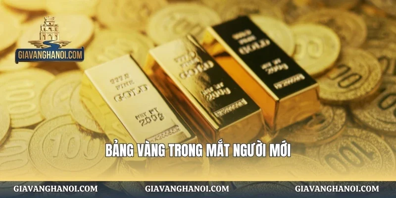 Bảng vàng trong mắt người mới
