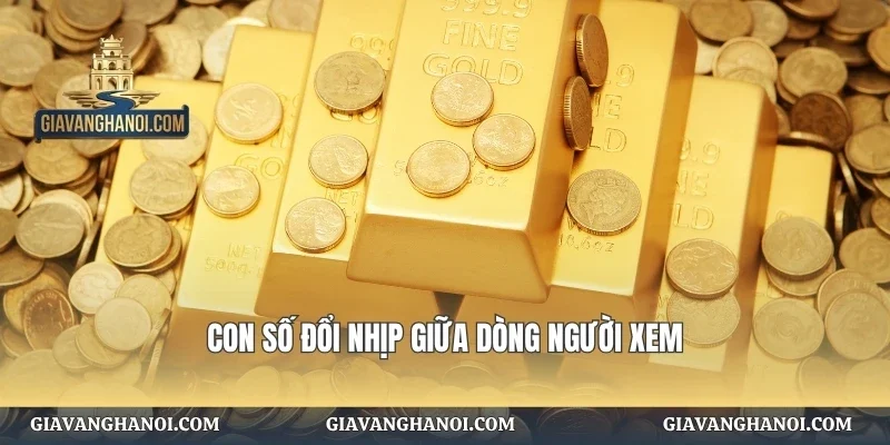 Con số đổi nhịp giữa dòng người xem