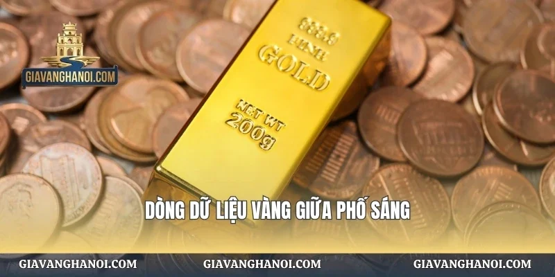 Dòng dữ liệu vàng giữa phố sáng
