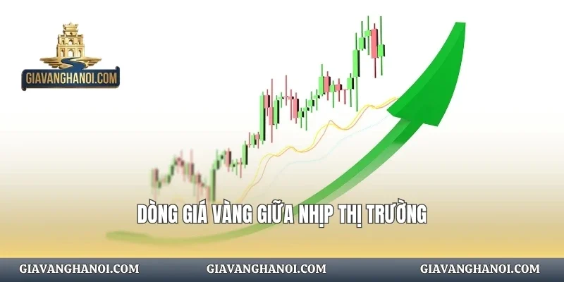 Dòng giá vàng giữa nhịp thị trường