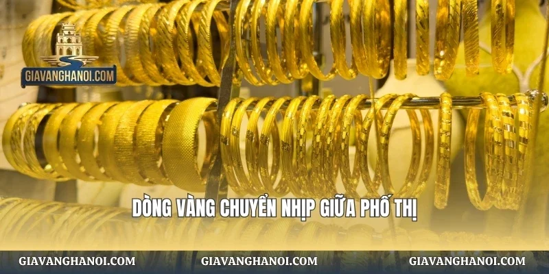 Dòng vàng chuyển nhịp giữa phố thị