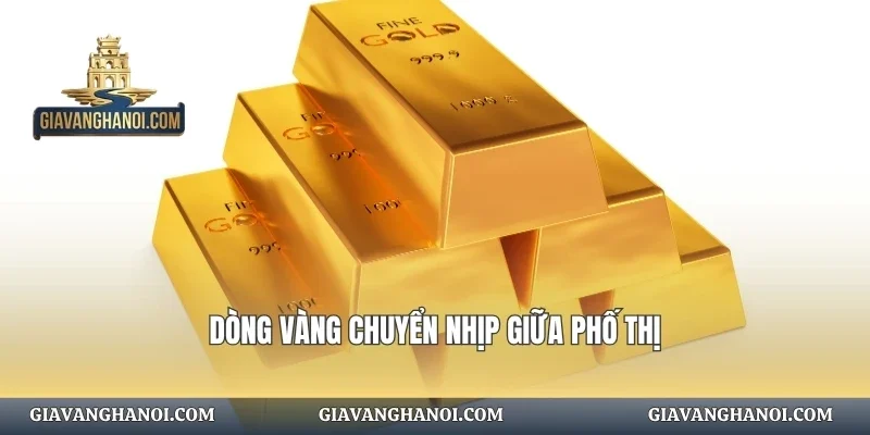 Dòng vàng chuyển nhịp giữa phố thị