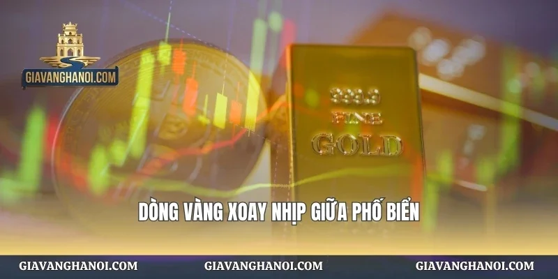 Dòng vàng xoay nhịp giữa phố biển