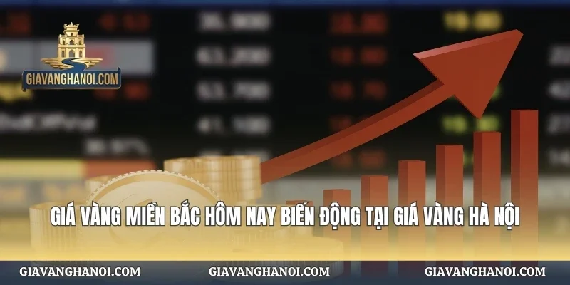 Giá Vàng Miền Bắc Hôm Nay B