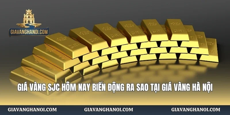 Giá Vàng SJC Hôm Nay Biến Động