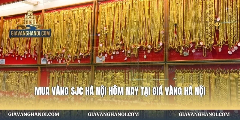 Mua Vàng SJC Hà Nội Hôm Nay