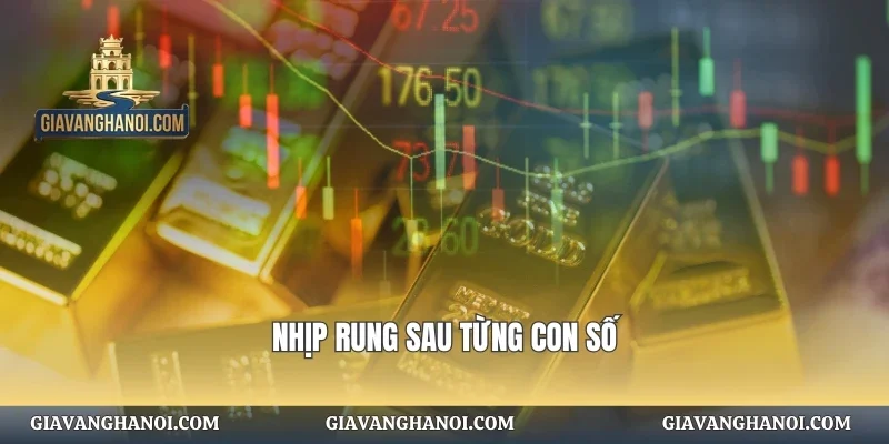 Nhịp rung sau từng con số
