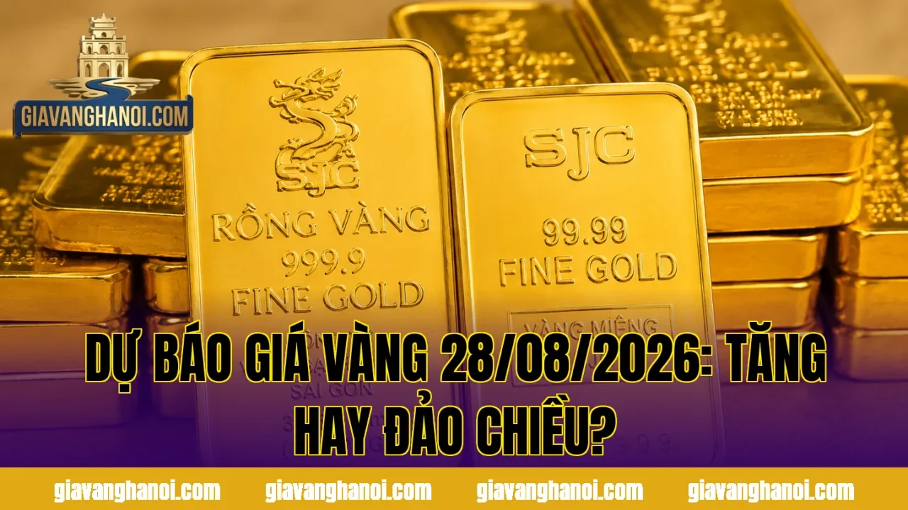 DỰ BÁO GIÁ VÀNG 28/08/2026: TĂNG HAY ĐẢO CHIỀU?