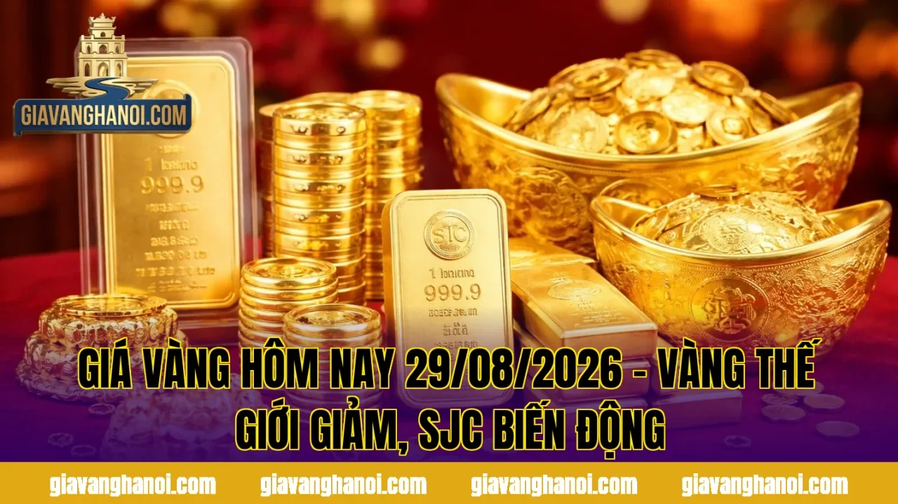 GIÁ VÀNG HÔM NAY 29/08/2026 – VÀNG THẾ GIỚI GIẢM, SJC BIẾN ĐỘNG