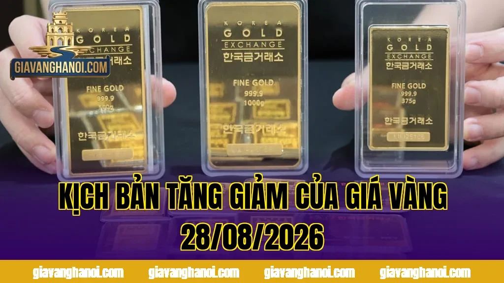 Kịch bản tăng giảm của giá vàng 28/08/2026